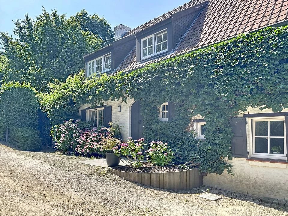 Barnes Brussels - Brabant 87395595